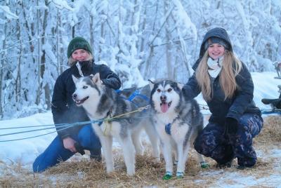 Paseos en trineo de perros huskys con servicio de recogida y fotografía en Fairbanks, Alaska Paseos en trineo de perros huskys con servicio de recogida y fotografía en Fairbanks, Alaska