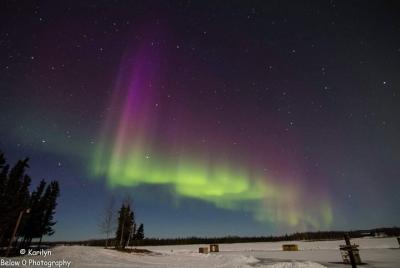 Tour de pesca en el hielo y aurora boreal desde Fairbanks