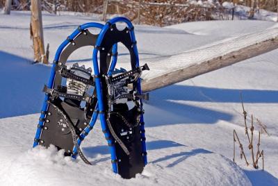 Tour de raquetas de nieve en Chena Lakes Tour de raquetas de nieve en Chena Lakes
