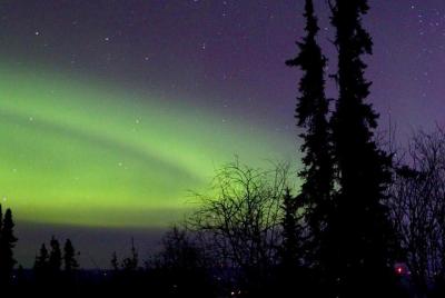Tour de ida y vuelta a las aguas termales de Chena