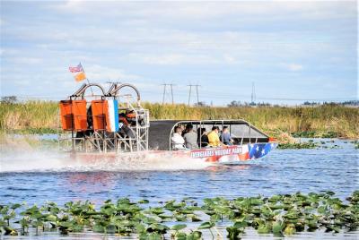 Recorrido en hidrodeslizador por los Everglades y espectáculo Gat Recorrido en hidrodeslizador por los Everglades y espectáculo Gat