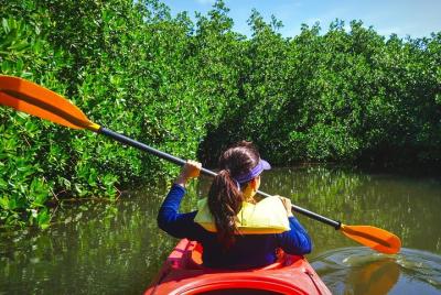 Tour tropical en kayak y aventura en la isla de Fort Lauderdale