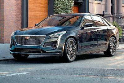 Traslado privado de llegada: aeropuerto FLL a Hollywood Beach en automóvil de negocios