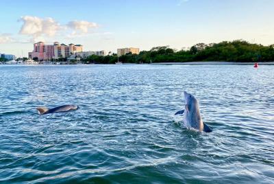 Crucero Dolphin Tiki por la playa de Fort Myers Crucero Dolphin Tiki por la playa de Fort Myers