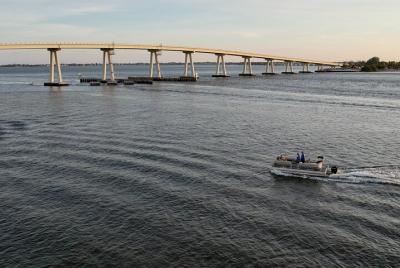 Crucero al atardecer con delfines Crucero al atardecer con delfines