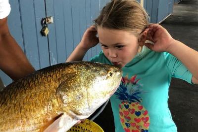 Excursión de medio día en embarcadero de 4 horas