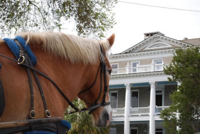 # 1 Recorrido histórico en carruaje tirado por caballos # 1 Recorrido histórico en carruaje tirado por caballos