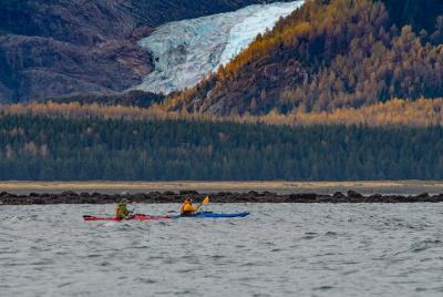 Kayak de mar -un día en el fiordo -Haines Alaska