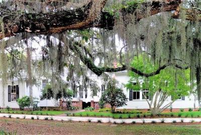Entrada al Hilton Head Honey Horn con visita guiada Entrada al Hilton Head Honey Horn con visita guiada