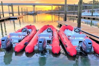 Tour guiado en mini bote con delfines Tour guiado en mini bote con delfines