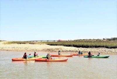 Tour guiado en kayak ecológico Tour guiado en kayak ecológico