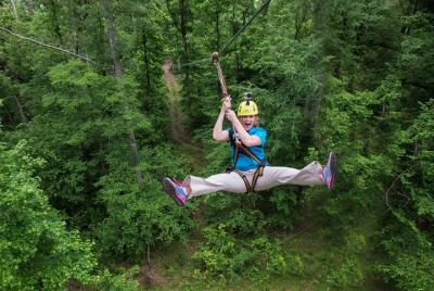 10 Zip Line Zip Tour (1.5 horas) 10 Zip Line Zip Tour (1.5 horas)