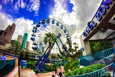 Recorrido por la ciudad de Houston y entrada completa al Downtown Aquarium Recorrido por la ciudad de Houston y entrada completa al Downtown Aquarium