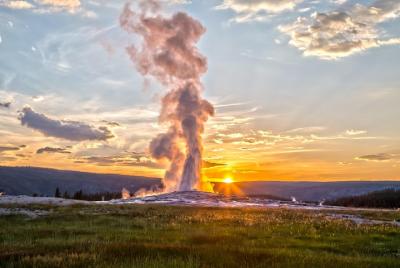 Excursión para grupos pequeños de fauna y flora al Parque Nacional de Yellowstone