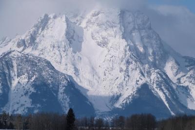 Grand Teton Winter Wildlife Tour