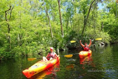Tour guiado en kayak para familias: experimente la vieja Florida