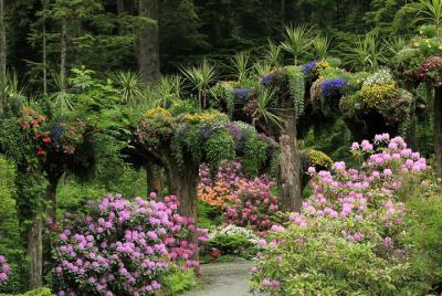 Glacier Gardens Rainforest Adventure en Juneau Glacier Gardens Rainforest Adventure en Juneau