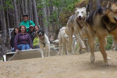 Sled Dog Discovery en Juneau Sled Dog Discovery en Juneau