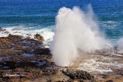 Caídas de Opaeka Caídas de Opaeka'a, Túnel de árboles, Costa de Poipu, Bocina de c