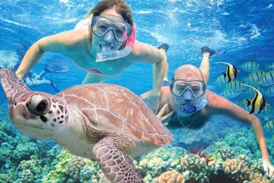 La última aventura guiada de snorkel en la costa de Kauai La última aventura guiada de snorkel en la costa de Kauai