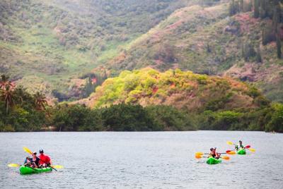 Aventura guiada en kayak por el río Wailua Aventura guiada en kayak por el río Wailua