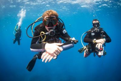 Discover Scuba Dive - OCEAN EXPERIENCE (1 tanque de buceo) Discover Scuba Dive - OCEAN EXPERIENCE (1 tanque de buceo)