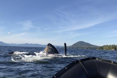 Expedición del desierto marino de Alaska