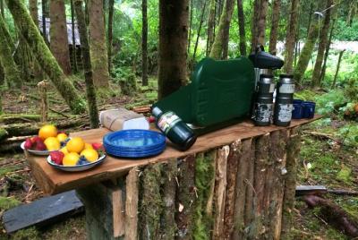 Aventura en la selva tropical de Alaska