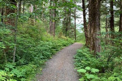 Tour privado familiar de Ketchikan! Auténtica experiencia nativa de Ketchikan