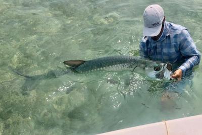 Carta de pesca Golden Glare con capitán experimentado