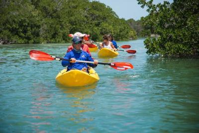 Key West Island T'ing: aventura de vela, snorkel y kayak