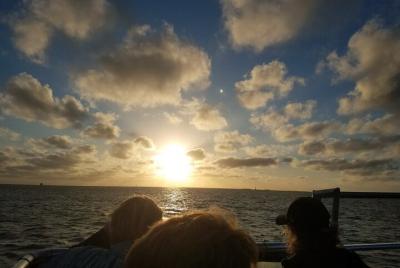 Crucero privado de 2 horas al atardecer en Key West
