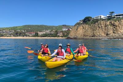 Tour Laguna Beach Kayak con Sea Lion Viewing