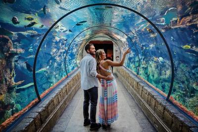 Shark Reef en el Mandalay Bay Hotel and Casino Shark Reef en el Mandalay Bay Hotel and Casino