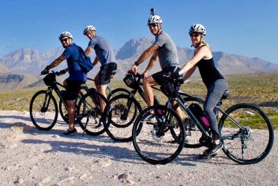 Excursión en bicicleta eléctrica autoguiada por Red Rock Canyon Excursión en bicicleta eléctrica autoguiada por Red Rock Canyon