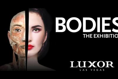 Bodies The Exhibition en el Luxor Hotel and Casino Bodies The Exhibition en el Luxor Hotel and Casino