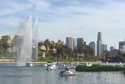 Alquiler de Cisnes en Echo Park