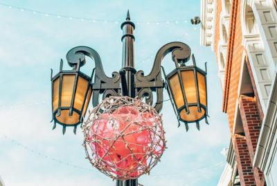 Luces de Navidad en Beverly Hills - Guía privada y café gratis con postre