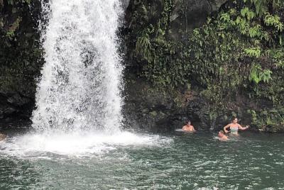 Excursión de día completo en Maui: excursión con transporte a Hana Excursión de día completo en Maui: excursión con transporte a Hana