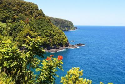 Excursión de lujo para grupos pequeños a Hana Excursión de lujo para grupos pequeños a Hana