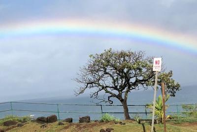 Excursión a Maui: Valle de Iao, destilería hawaiana y excursión a la granja de lavanda Excursión a Maui: Valle de Iao, destilería hawaiana y excursión a la granja de lavanda