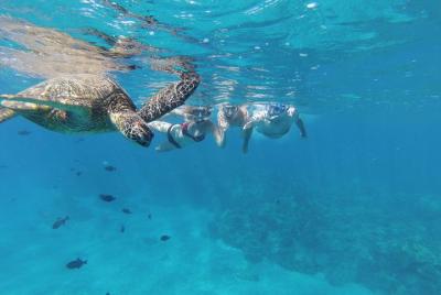 Excursión de 3 horas a Makena Kayak Snorkel con fotos gratis Excursión de 3 horas a Makena Kayak Snorkel con fotos gratis