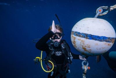 Buceo de tiburones y tortugas en grupos pequeños para buzos certificados Buceo de tiburones y tortugas en grupos pequeños para buzos certificados