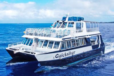 Encuentro con delfines y aventura de buceo desde Lahaina a Lanai Encuentro con delfines y aventura de buceo desde Lahaina a Lanai