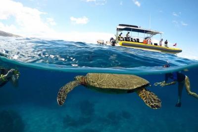 Tour Lanai Snorkel Dolphin Express de 4 horas desde el puerto de Lahaina Tour Lanai Snorkel Dolphin Express de 4 horas desde el puerto de Lahaina