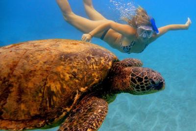 Tarde Aventura Snorkel desde Ka Tarde Aventura Snorkel desde Ka'anapali