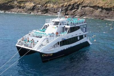Aventura de buceo de superficie en Molokini a bordo del Calypso Aventura de buceo de superficie en Molokini a bordo del Calypso