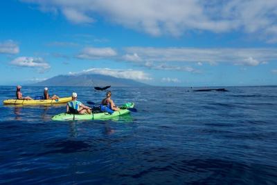 Excursión privada en kayak y avistamiento de ballenas (7 a.m. a 10 a.m.)