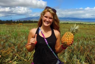 Tour de piña de Maui Tour de piña de Maui