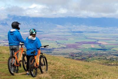 Recorrido autoguiado exprés en bicicleta por Haleakala con Bike Maui Recorrido autoguiado exprés en bicicleta por Haleakala con Bike Maui